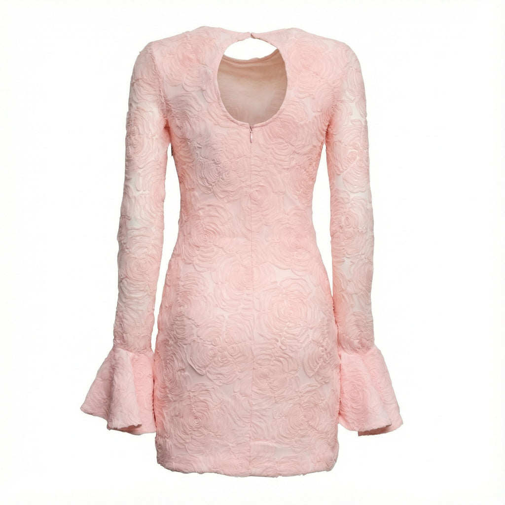 Rosana Mesh Frill Mini Dress