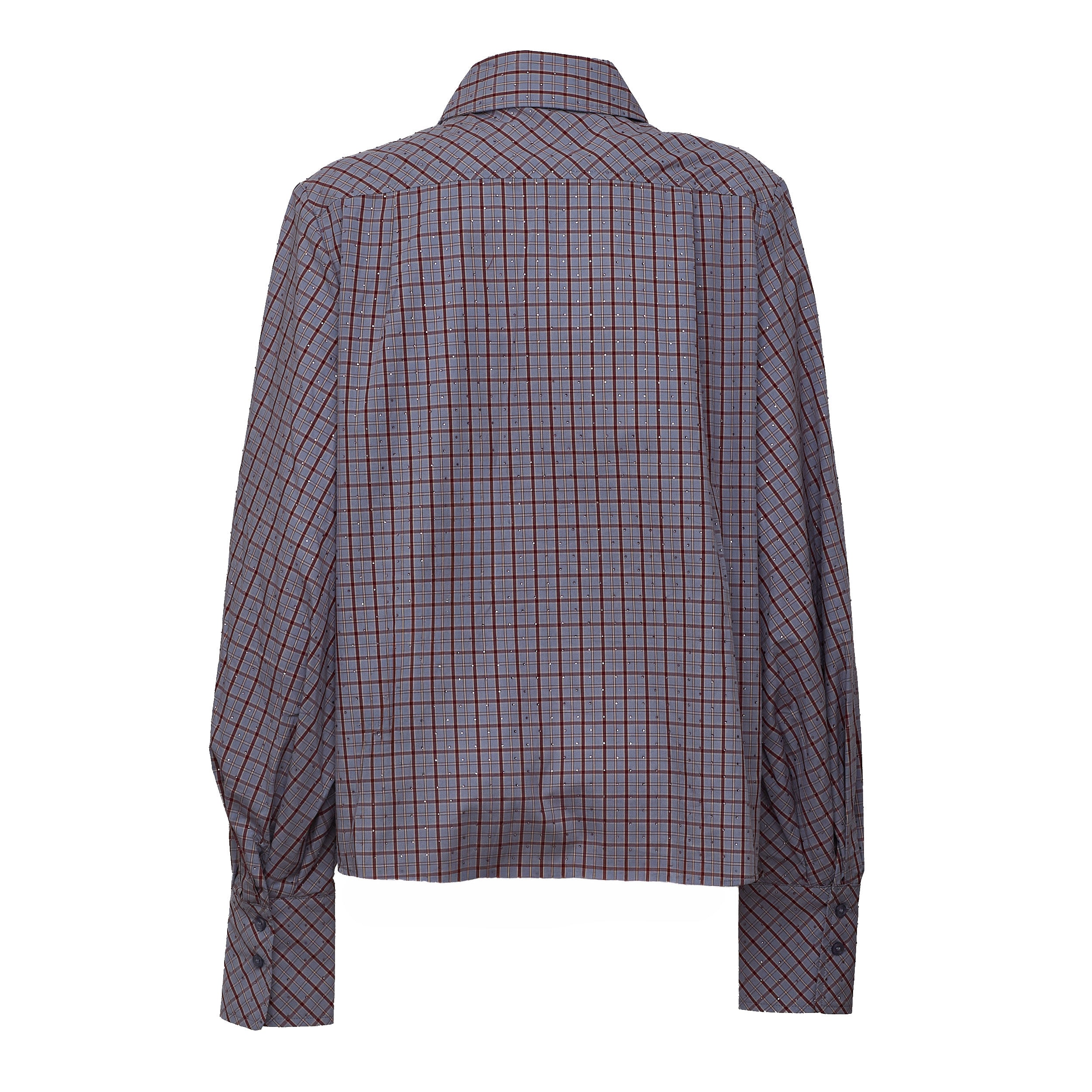 Kalmia Voluminous Sleeve Shirt