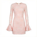 Rosana Mesh Frill Mini Dress