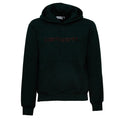 Hooded Carhartt Sweatshirt