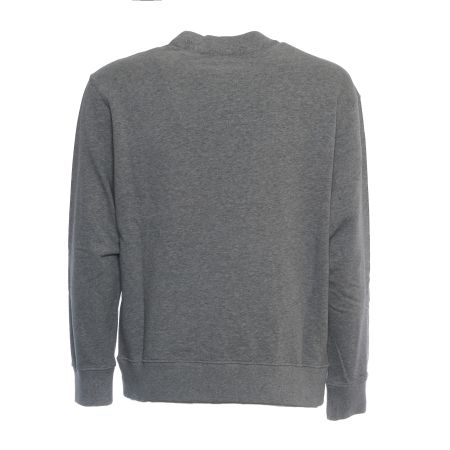 Grigio
